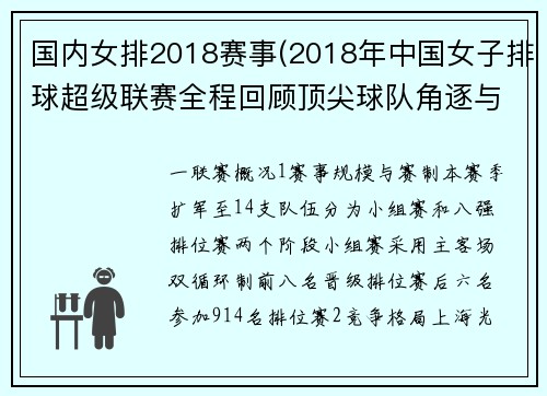 国内女排2018赛事(2018年中国女子排球超级联赛全程回顾顶尖球队角逐与最终排名揭晓)